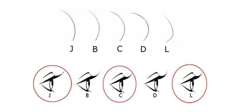 What Are The Different Types of False Eyelashes: A Quick Guide ...