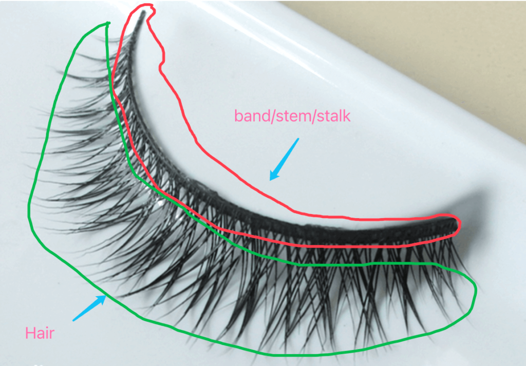 What-Are-The-Types-Of-False-Eyelash-Band-16